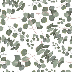 Fototapeta na wymiar Seamless vector pattern. Eucalyptus on white background 