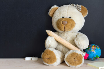 Teddy bear holding big wooden pencil on background of blackboard, back to school concept