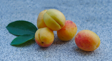 Apricot fruit