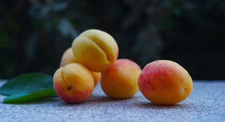 Apricot fruit