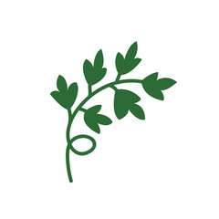 Vector branch with leaves illustration