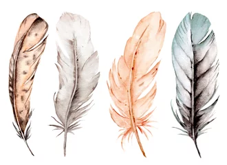 Abwaschbare Fototapete Federn Bird feather set, watercolor boho illustration. Hand drawn. Suitable for poster design, print, sublimation. 