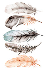 Bird feather set, watercolor boho illustration. Hand drawn. Suitable for poster design, print, sublimation.	