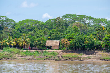 riverbank view of peruvian amazon with shanty houses at background