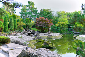 Gorgeous sakura in a beautiful tourist place in a Japanese garden