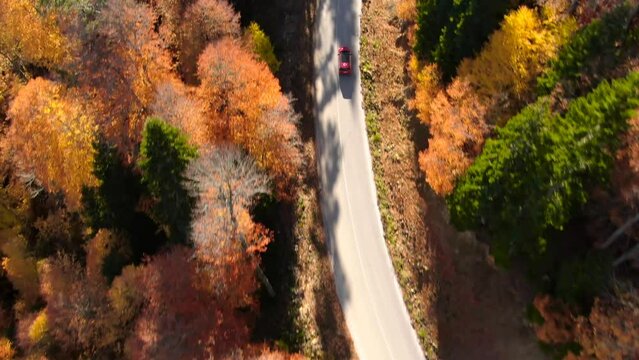 Aerial view of a red car riding on winding road through the forest at Yedigoller National Park in Bolu, Turkey. Beautiful scenic of Fall trees. Fly over tracking
