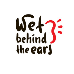 Wet behind the ears - simple inspire motivational quote. Youth slang, idiom. Hand drawn lettering. Print for inspirational poster, t-shirt, bag, cups, card, flyer, sticker, badge. Cute vector writing.