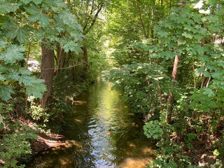 Fototapeta na wymiar Flusslandschaft Kanal in Bayern 535520260