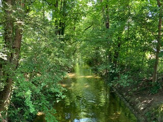 Fototapeta na wymiar Flusslandschaft ein Kanal in Bayern gerade 535520265