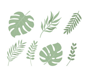 Set of tropical leaves flat vector illustration. Exotic plant on white background