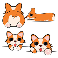 Fototapeta premium Cute corgi dog vector illustration