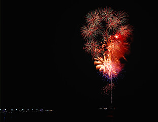  Multicolored fireworks contrast with the black night sky.