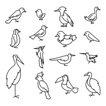 Conjunto de aves, estilo dibujo animado. Ilustración vectorial