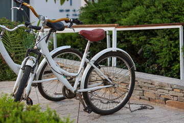 Fototapeta na wymiar Parked bicycles over green tree background. Vintage white bicycle parked outside near the fence on the sidewalk of the city. Mountain bike is fastened to rack of street fence in Israel. Yom kippur