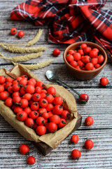 Ripe red hawthorn berries in a wooden box on a rustic background. Vertical.