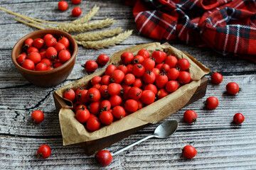 Red ripe hawthorn berries on a wooden background. Still life. Harvest, autumn