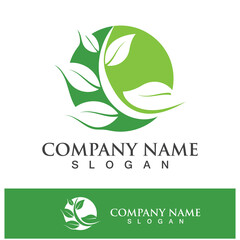 Green tree leaf nature logo images
