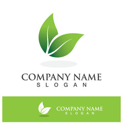 Green tree leaf nature logo images