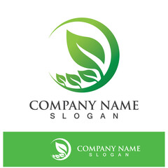 Fototapeta premium Green tree leaf nature logo images