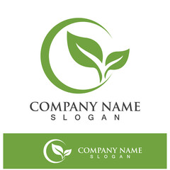 Green tree leaf nature logo images