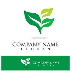 Green tree leaf nature logo images