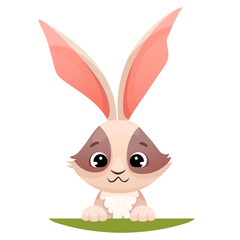 Cute rabbit bunny character