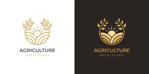Agriculture farm logo design with circle gold wheat logo symbol design, rice farming logo template two versions
