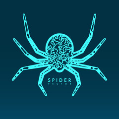 Abstract spider illustration.