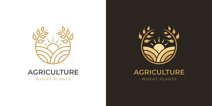 Agriculture farm logo design with circle gold wheat logo symbol design, rice farming logo template two versions
