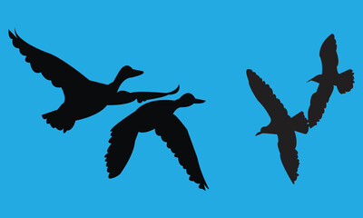 Flying Birds Silhouette Collection 