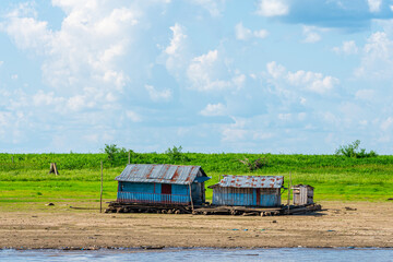 Fototapeta premium riverbank view of peruvian amazon with shanty houses at background