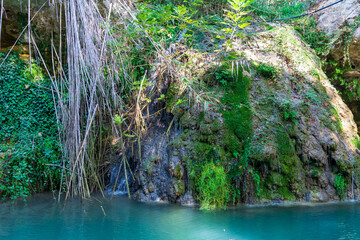 Tropical pond with a small waterfall and copy space