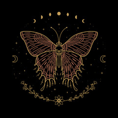 Fototapeta na wymiar Butterfly Mystical Vector Illustration
