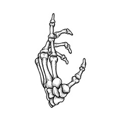 Hand Bones Illustration
