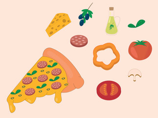 Vector set of different ingredients for pizza with pizza isolated