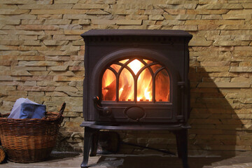 Cast iron stove with firewood burning brightly inside.