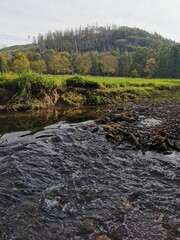 river in the forest with mountains in Bergisch Gladbach