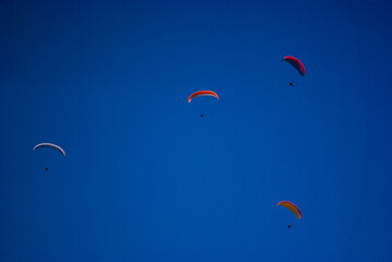 하늘을 수놓은 패러글라이딩 군단