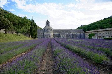 Zisterzienserabtei Abbaye Notre-Dame de Sénanque, mit Lavendelfeld, Vaucluse, Provence, Provence-Alpes-Côte d’Azur, Frankreich, Europa