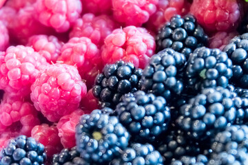 Blackberry close-up, tasty healthy berries