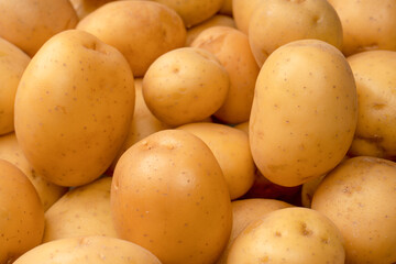 A group of fresh tasty potato as  background.