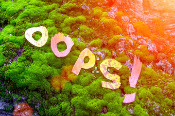 Letters Oops on the background of fallen leaves. Cold snap, the onset of autumn. Decorative lettering, autumn concept