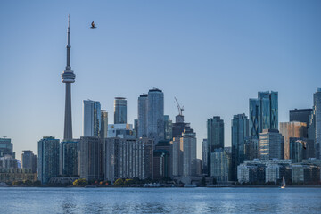 Obraz premium city skyline from the lake