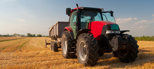Tractor with a trailer on agricultural field during wheat summer harvest