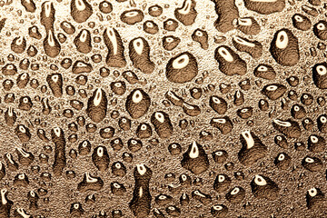 Texture of water drops on glass. Decorative abstract background