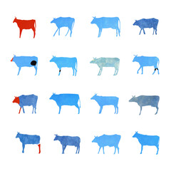 pattern of cows