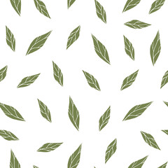 Green leaves botanical seamless pattern. Hand drawn botanical elements on white background