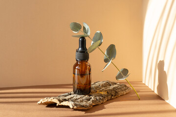 Bottle of essential eucalyptus oil in an amber bottle with dropper lid on brown background, in rays...