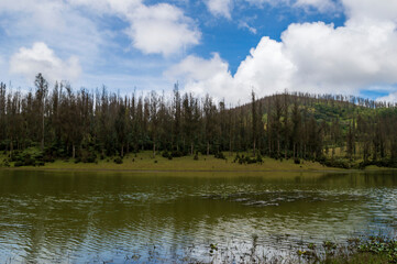 Beautiful Ooty lake with its scenic beauty against blue sky forming a beautiful background