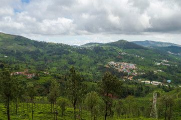 Naklejka premium Tea plantation with trees in the midlde, small houses and towering mountains adding a scenic beauty to the nature 